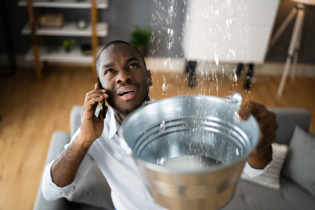 Best Water damage restoration company  in Roosevelt, UT