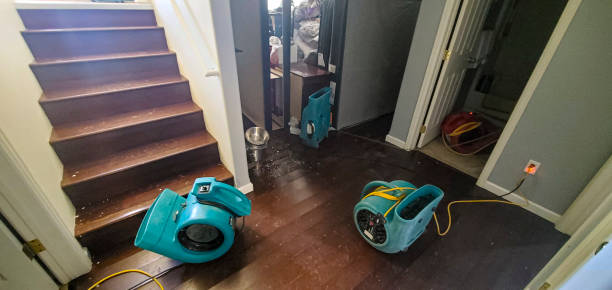 Best Mold removal after water damage  in Roosevelt, UT
