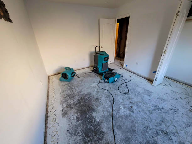 Best Commercial water damage restoration  in Roosevelt, UT