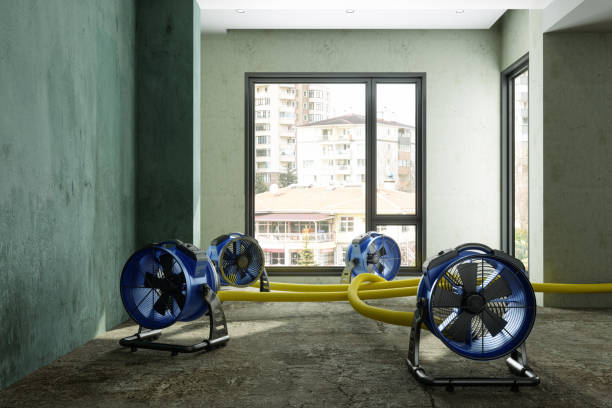 Best Flood restoration services  in Roosevelt, UT